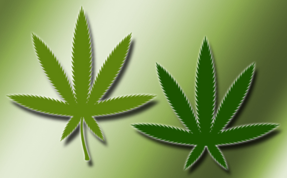 Free Marijuana Leaf Brushes