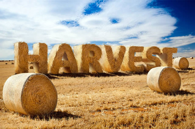Create Stylized Hay Bale Typography in Photoshop