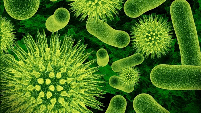 3D Bacteria Wallpaper