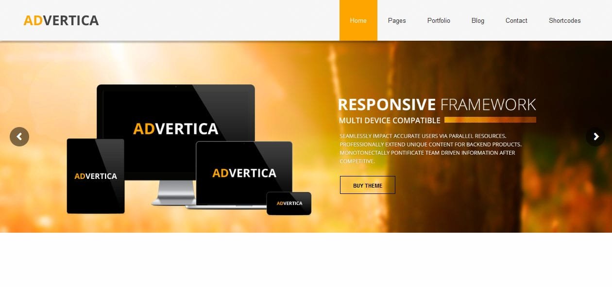 Advertica Lite