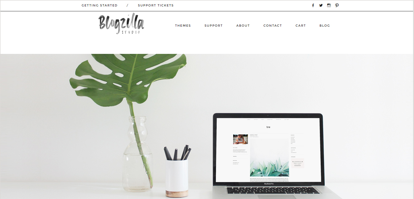 Blogzilla Studio - feminine website designs