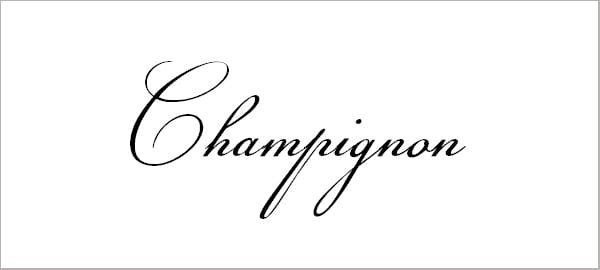 Champignon Font - ThemeCot