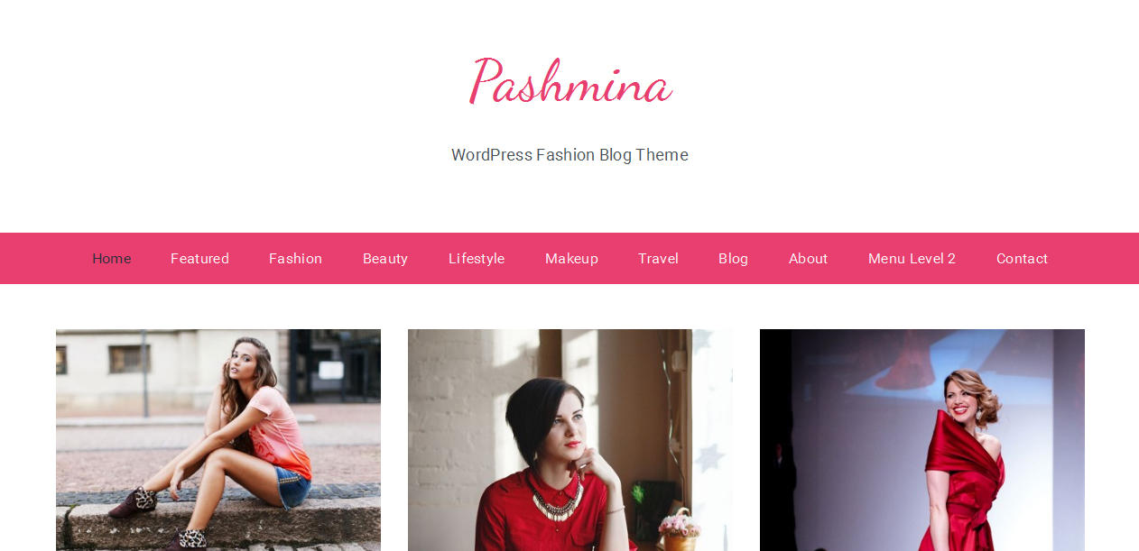 Pashmina - Bootstrap WordPress Themes