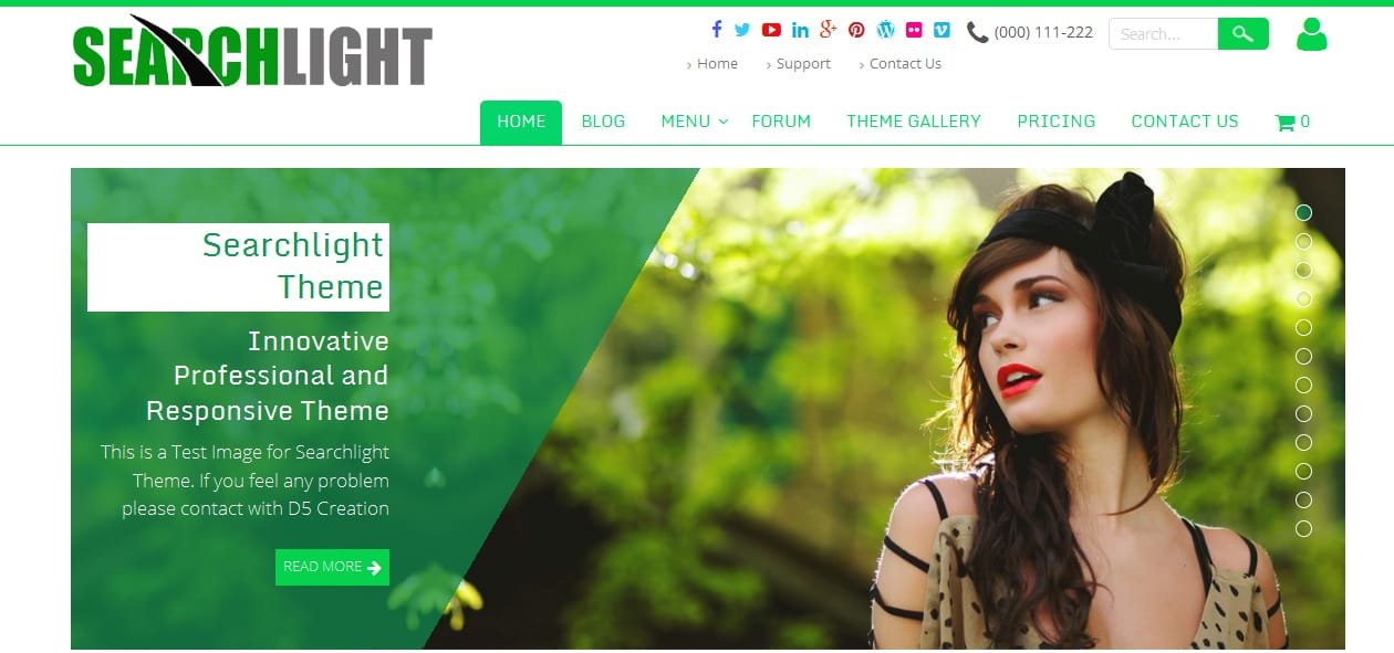 Searchlight - Artist WordPress Themes