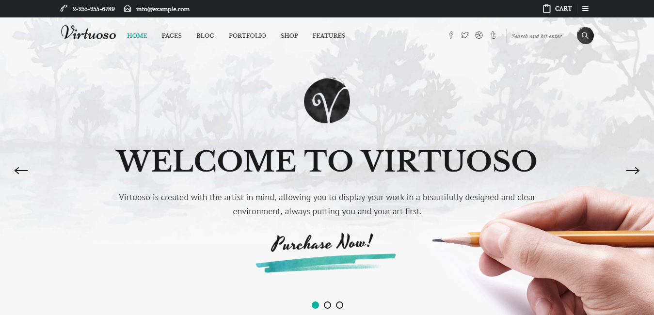 Virtuoso - Creative Art WordPress Theme