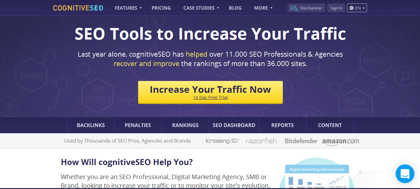 CognitiveSEO