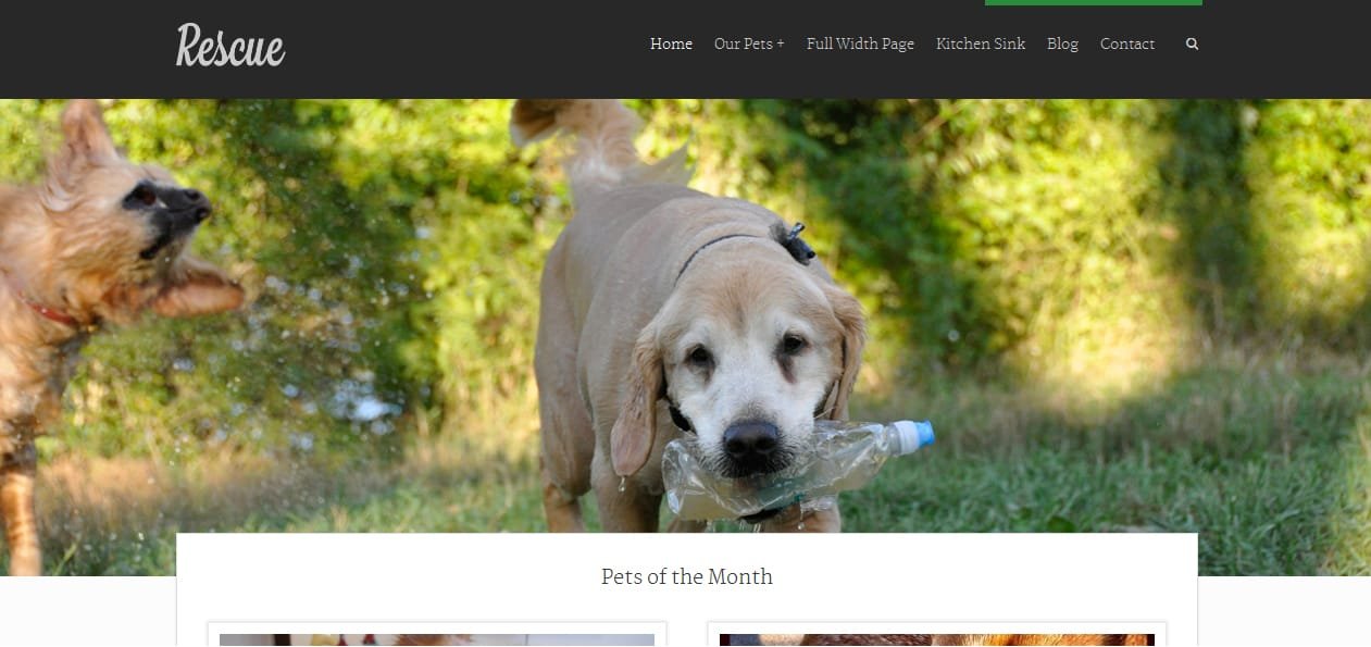 Rescue - Best Pet WordPress Themes