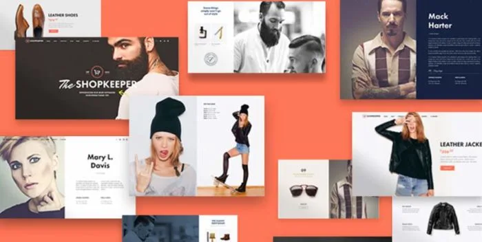 Best WordPress eCommerce Themes Toolkit 2019